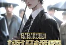 想读林凡李诗诗的故事,哪里可以免费找到猫猫我啊,捕猎横霸都市了?-侠客文学