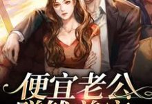 《便宜老公赚钱养家，我貌美如花》小说主角姜栀宿聿章节章节免费在线阅读-侠客文学