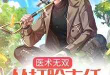 免费在线阅读医术无双：从打脸主任开始无敌小说的正规网站有哪些？-侠客文学