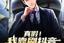 陆青为主角的小说好看吗？求真假！我靠刷抖音走上人生巅峰免费试读-侠客文学