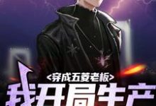 完结版《穿成五菱老板，我开局生产老头乐》章节阅读-侠客文学