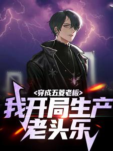 完结版《穿成五菱老板，我开局生产老头乐》章节阅读