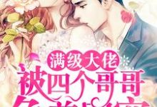 完结版《满级大佬被四个哥哥争着团宠》免费阅读-侠客文学