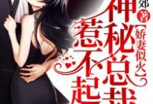 娇妻似火，神秘总裁惹不起这本小说在哪里可以看？哪里有免费试读章节？-侠客文学