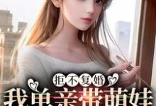 主人公叫 夏清舒乔弘琛的小说哪里免费看-侠客文学