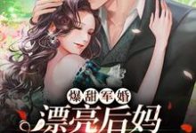 寻找爆甜军婚,漂亮后妈在九零赢麻了小说的最新更新章节-侠客文学