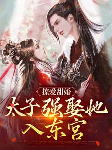 主角叫贺玥宁如颂小说掠爱甜婚：太子强娶她入东宫章节免费阅读