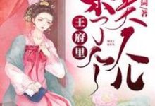 王府里来了个美人儿这本小说在哪里可以看？哪里有免费试读章节？-侠客文学
