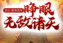 小说《玄幻：签到百年，睁眼无敌诸天》在线章节阅读-侠客文学