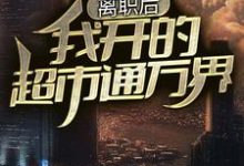 小说《离职后，我开的超市通万界》章节阅读-侠客文学