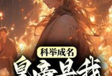 完结版《科举成名，皇帝是我死忠粉？》章节目录在线阅读-侠客文学