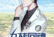 神医:九转回魂,一针定生死小说的免费电子版在哪里可以下载或阅读?-侠客文学