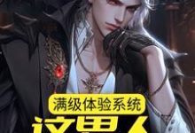 满级体验系统,这男人不一般莫凡小说免费阅读-侠客文学