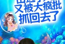 呜!出逃小人鱼又被大疯批抓回去了小说,呜!出逃小人鱼又被大疯批抓回去了凤郁商沉婳-侠客文学