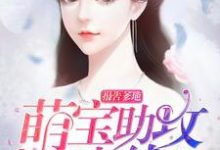 哪里可以免费读到苏澄萧域陈纯的完整故事？寻找报告爹地：萌宝助攻已上线-侠客文学