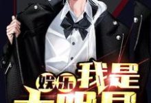 免费阅读段到林佳为主角的小说,娱乐:我是大明星在线看-侠客文学