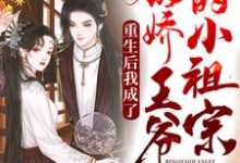 小说《重生后我成了病弱王爷的小祖宗》章节阅读-侠客文学
