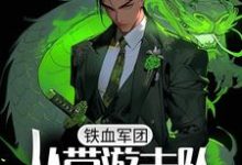 铁血军团,从带游击队打仗开始 林锋李云龙小说在线章节目录阅读最新章节-侠客文学