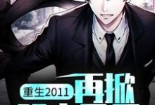 小说《重生2011：再掀股市风云》在线章节阅读-侠客文学