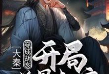 胡亥嬴政的小说在哪里看？免费在线阅读大秦：穿成胡亥，开局逆骨赵高-侠客文学