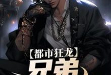 在线寻找都市狂龙：兄弟，哥罩着你！小说的无删减版本-侠客文学