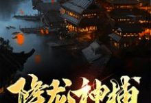 降龙神捕小说，降龙神捕陆凡-侠客文学