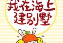 免费在线阅读内卷丧命后,我在海上建别墅小说的正规网站有哪些?-侠客文学