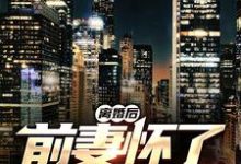 男女主人公薛阳沈妤小说离婚后，前妻怀了我的孩子章节免费阅读-侠客文学