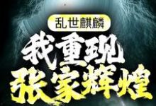 男女主人公张起灵盗墓小说乱世麒麟:我重现张家辉煌章节免费阅读-侠客文学