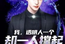 我，透明人一个，却一人撑起整个家宋悲小说在线章节免费阅读-侠客文学