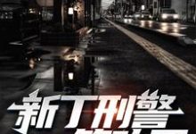 刀锋小说在线章节免费阅读（新丁刑警，又双叒叕立一等功了！无弹窗无删减）-侠客文学