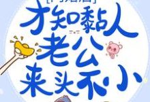 在线搜索海彤战胤的完整小说,免费阅读闪婚后,才知黏人老公来头不小-侠客文学