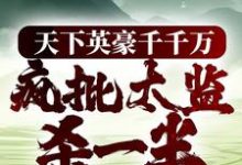 天下英豪千千万，疯批太监杀一半小说的免费阅读版本在哪里可以找到？-侠客文学