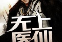 无上医仙小说阅读,无上医仙完结版-侠客文学