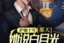 护她十年，那天，她说白月光回来了章节免费在线阅读，江安柳幼冉完结版-侠客文学