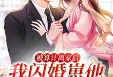 求被算计离家后,我闪婚崽他豪门亲爹小说的全文免费阅读链接-侠客文学