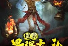 地表最强光头叶飞陈青舒小说免费阅读-侠客文学