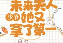 已完结小说《少爷，未来夫人她又拿了第一》章节在线阅读-侠客文学