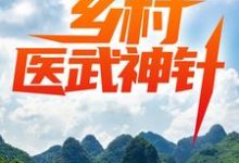 小说《乡村医武神针》章节阅读-侠客文学