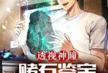 在线寻找透视神瞳:赌石鉴宝财色双收小说的无删减版本-侠客文学