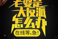 老婆是大反派怎么办，在线等，急！小说免费资源，老婆是大反派怎么办，在线等，急！在线阅读-侠客文学