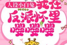 人设小白兔,我在反派怀里嘤嘤嘤!江御南初,人设小白兔,我在反派怀里嘤嘤嘤!章节在线阅读-侠客文学