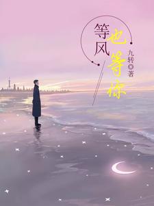 等风也等你这本小说怎么样？免费在线阅读试试