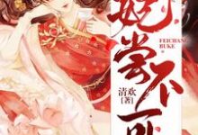 哪里能找到妃尝不可小说的全部章节?-侠客文学