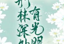 薛澜清龙慕渊的小说在哪里看？免费在线阅读荆棘深处有光明-侠客文学