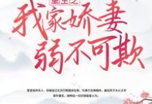 主人公叫 林姝 陆靖然的小说重生之我家娇妻弱不可欺在线阅读章节-侠客文学