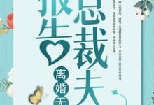 小说《报告总裁夫人，离婚无效！》章节免费阅读-侠客文学