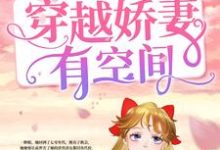 沈微谢延为主角的小说勇闯七零：穿越娇妻有空间在线阅读-侠客文学