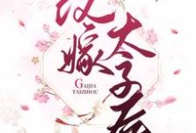 《改嫁太子后》全集免费在线阅读(柳诗诗欧阳怀)-侠客文学