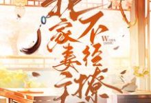 我家妻主不经撩小说,我家妻主不经撩章节在线阅读-侠客文学